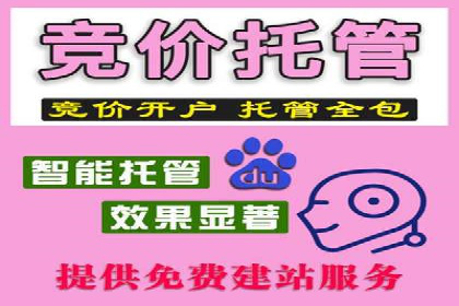 成功案例：SEM代运营服务公司助力企业业绩翻倍